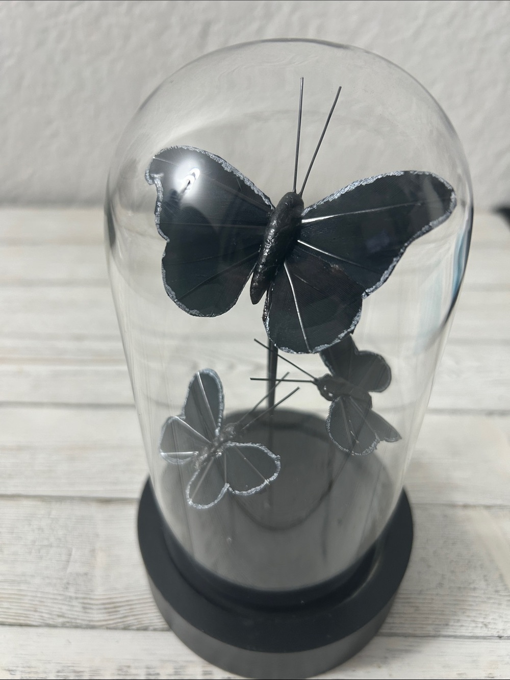 Black Decorative 4 Moths Dome - Home Art